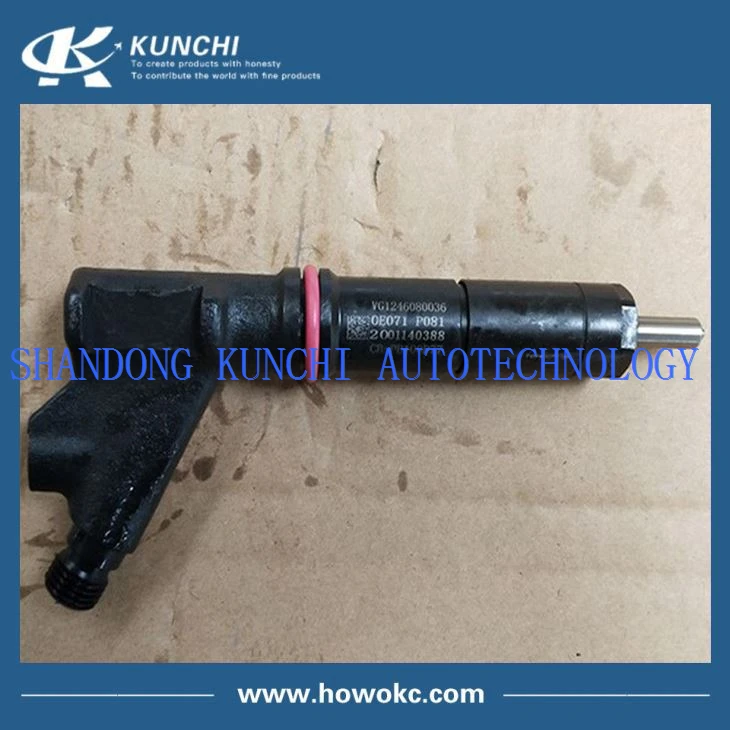SINOTRUK HOWO D12 Engine Fuel Injector VG1246080036