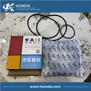 Sinotruk Howo WG9981340113/4 маслено уплътнение 190 x 220 x 30 Wmdi Perfet Power